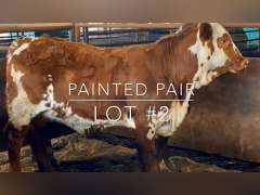 "Painted Pair"