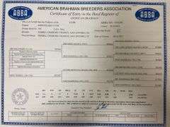 Registered Brahman