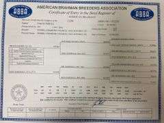 Registered Brahman