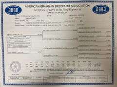 Registered Brahman