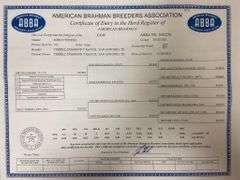 Registered Brahman