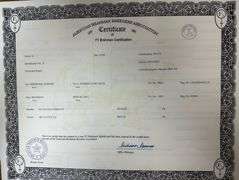 Golden Certified F1 Braford Heifers
