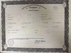 Golden Certified F1 Braford Heifers