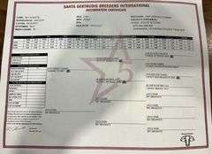 Registered Santa Gertrudis Star 5 Heifers