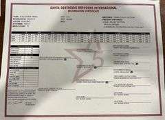 Registered Santa Gertrudis Star 5 Heifers