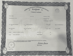 Open Golden Certified F1 Braford