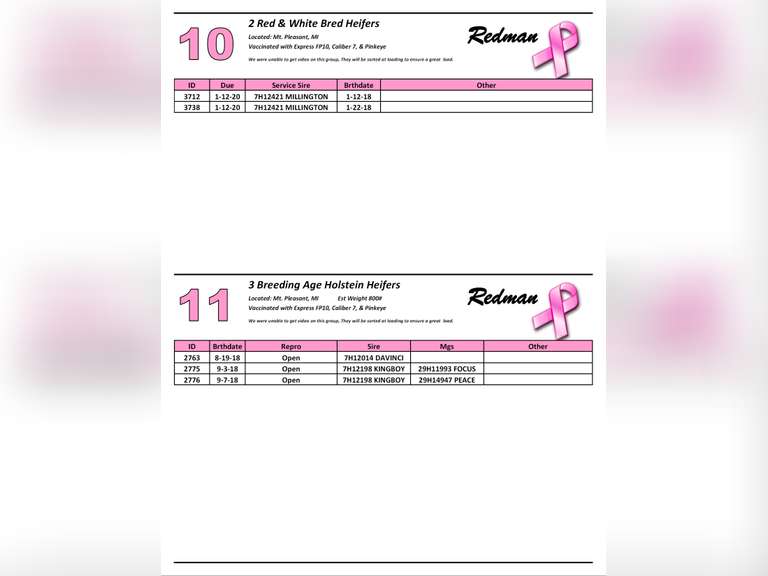 3 Breeding Age Holstein Heifers (Redman)