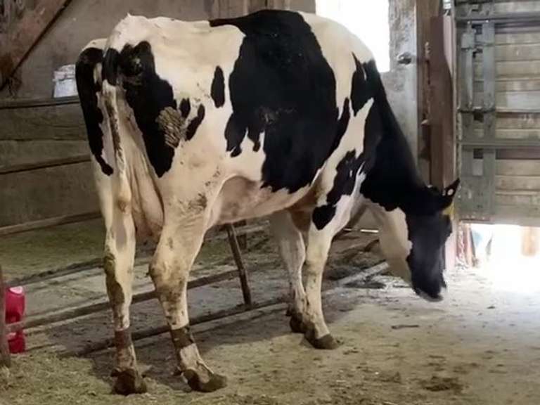 UPDATE: Fresh 4-27