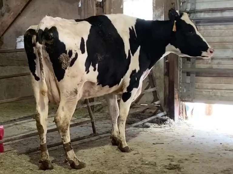 UPDATE: Fresh 4-27