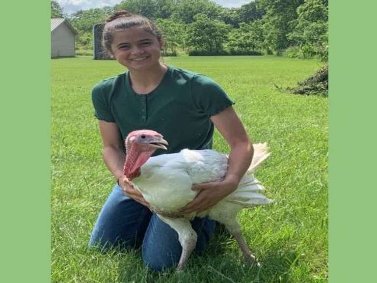 Brooke's White Turkey (Approx Weight 18#, Bidding Is By The Head)