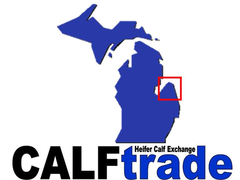 ADDED LOT - 10-15 Holstein Heifer Calves (Delivery Any Time This Week and No Latter Than Monday 8-3) Dekker