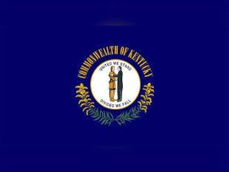 (8) Xbred Springers | Preg 7+ Months | Vaccinated, Boostered and Poured with cydectin on February 10 | Est Avg Weight 1050# | REPUTATION GROWER | Brogal Farms Hustonville, KY | Load by 3-18-22 (Rep Chad Kreeger 517-294-3484) | 677 9230 802 777 9290 801 9253 9844