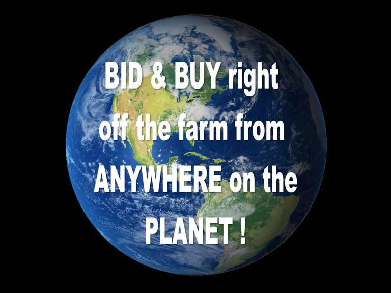 Bid & Buy Anywhere On The Planet