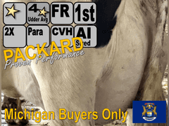 (11) Fresh 1st Lact Holstein Heifers | Fresh 5-21 to 6-15 | 2X Group Avg 24 DIM & Easily *75#+ and going up every day!!, 4⭐Udders | AI Sired-Alta Genetics | (Homegrown-Moderate Framed Young Heifers) |⭐GOLD STAR Grower | Parabone Parlor, Sand Stalls, Complete Herd Health & Vaccinations | Proven Performers! - Clay Sorted through Them-Only the Best Sell!! & we will  Sort @ Loading | Packard Farms Clare, MI  | Sort @ Loading  by 7-5-24 (Rep Clay Papoi 517-526-1917) | MICHIGAN BUYERS ONLY 6016 10601 10621 10645 10657 10662 10709 10746 10780 10782 10803 10804 10853 10866