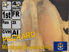 (11) Fresh 1st Lact Holstein Heifers | Fresh 6-11 to 7-14 | 2X Group Avg 27 DIM & Easily *70#+ and going up every day!!, Avg 4⭐Udders (Homegrown-Moderate Framed Young Heifers) |⭐GOLD STAR Grower, AI Sired  | Parabone Parlor, Sand Stalls, Complete Herd Health & Vaccinations | Proven Performers! - Clay Sorted through Them & Only the Best Sell!!, Sort @ Loading & Will add fresher ones if needed | Packard Farms Clare, MI  | Load by 8-2-24 (Rep Clay Papoi 517-526-1917) | MICHIGAN BUYERS ONLY 10685 10698 10803 10818 10822 10826 10837 10853 10862 10883 10900 10908