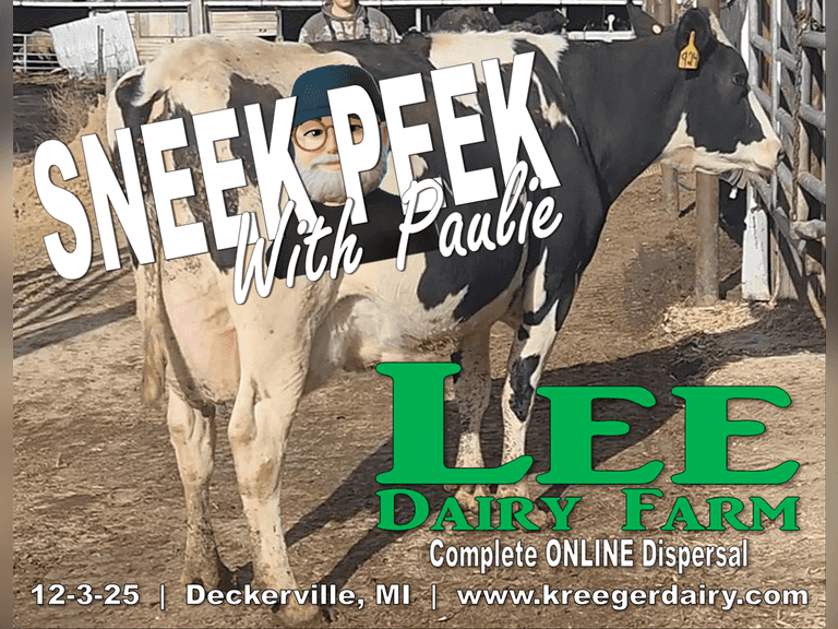 SNEEK PEEK !!! | Lee Dairy Farm ONLINE Dispersal THIS WEDNESDAY 12-3-25 12-1PM ET |  8% SOLIDS!!! | 34 4 & 5 ⭐ Udders | 46 1st & 2nd Lact | 75 Cows Avg 60# 4.4%F 3.6%P 87K SCC on Home Grown Forage - They will Respond! | 5 Dry Cows, 21 Preg Heifers, 25 Open Heifers (700#+) | Cows are AI BRED - Some Angu$ | Complete Herd Health & Vaccinations | Cows have been Bird Flu Tested prior to sale | Herringbone Parlor, Sand Stalls, TMR | Thank you for your interest in this sale please give any us a call with any questions. | Click For Videos & Catalog