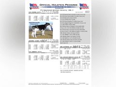 (25) Fresh 1st Lact Holstein Heifers | Fresh 5-12 to 7-2 | 3X Group Avg 43 DIM 85#m SCC-36K, 587 gNM$, 2646 gTPI, 4 & 5⭐Udders,  | AI Sired-Sires Avg 639 NM$ | Dams ACTUAL Avg 32988m 1466f 1120p 22531cfp | ⭐GOLD STAR Genetic Focus Herd, Tank Avg 94# on 2400 Cows | Extensive ET Program, From some of the greatest cow families in the breed with literally Hundreds of bulls in AI! | Rotary Parlor, Sand Freestalls, Headlocks, Complete Herd Health & Vaccinations, Registered | Oakfield Corners Dairy Oakfield, NY | Load by 8-1-25 (Rep Paul Warner 517-231-8427) | WILL TEST TO TRAVEL 7070 7130 21575 21799 21825 22052 22105 22281 22290 22312 22313 22336 22374 22407 22478 58507 58564 71175 71300 96542 96574 96596 96647 96689 96721