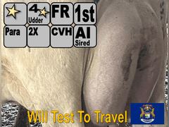 (8) Fresh 1st Lact Holstein Heifers | Fresh 4-7 to 6-13 | 2X Group Avg 47 DIM *80#, 4⭐Udders | AI Sired- Sires Avg 542 NM$ | 1 Serviced-Sexed |⭐GOLD STAR Herd - Tank Avg 95#m 4.2%f 125K SCC | Parrallel Parlor, Sand Freestalls, Complete Herd Health & Vaccinations | Mark Hoover Whittemore, MI | Load By 7-11-25 (Rep Gabe Papoi 989-444-8275) | WILL TEST TO TRAVEL  320 322 331 332 336 340 341 351