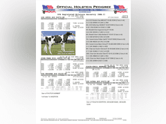 (25) Fresh 1st Lact Holstein Heifers | Fresh 5-12 to 7-2 | 3X Group Avg 43 DIM 85#m SCC-36K, 587 gNM$, 2646 gTPI, 4 & 5⭐Udders,  | AI Sired-Sires Avg 639 NM$ | Dams ACTUAL Avg 32988m 1466f 1120p 22531cfp | ⭐GOLD STAR Genetic Focus Herd, Tank Avg 94# on 2400 Cows | Extensive ET Program, From some of the greatest cow families in the breed with literally Hundreds of bulls in AI! | Rotary Parlor, Sand Freestalls, Headlocks, Complete Herd Health & Vaccinations, Registered | Oakfield Corners Dairy Oakfield, NY | Load by 8-1-25 (Rep Paul Warner 517-231-8427) | WILL TEST TO TRAVEL 7070 7130 21575 21799 21825 22052 22105 22281 22290 22312 22313 22336 22374 22407 22478 58507 58564 71175 71300 96542 96574 96596 96647 96689 96721