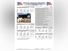 (25) Fresh 1st Lact Holstein Heifers | Fresh 5-12 to 7-2 | 3X Group Avg 43 DIM 85#m SCC-36K, 587 gNM$, 2646 gTPI, 4 & 5⭐Udders,  | AI Sired-Sires Avg 639 NM$ | Dams ACTUAL Avg 32988m 1466f 1120p 22531cfp | ⭐GOLD STAR Genetic Focus Herd, Tank Avg 94# on 2400 Cows | Extensive ET Program, From some of the greatest cow families in the breed with literally Hundreds of bulls in AI! | Rotary Parlor, Sand Freestalls, Headlocks, Complete Herd Health & Vaccinations, Registered | Oakfield Corners Dairy Oakfield, NY | Load by 8-1-25 (Rep Paul Warner 517-231-8427) | WILL TEST TO TRAVEL 7070 7130 21575 21799 21825 22052 22105 22281 22290 22312 22313 22336 22374 22407 22478 58507 58564 71175 71300 96542 96574 96596 96647 96689 96721