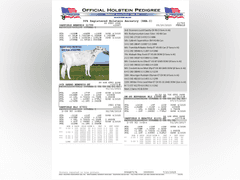 (25) Fresh 1st Lact Holstein Heifers | Fresh 5-12 to 7-2 | 3X Group Avg 43 DIM 85#m SCC-36K, 587 gNM$, 2646 gTPI, 4 & 5⭐Udders,  | AI Sired-Sires Avg 639 NM$ | Dams ACTUAL Avg 32988m 1466f 1120p 22531cfp | ⭐GOLD STAR Genetic Focus Herd, Tank Avg 94# on 2400 Cows | Extensive ET Program, From some of the greatest cow families in the breed with literally Hundreds of bulls in AI! | Rotary Parlor, Sand Freestalls, Headlocks, Complete Herd Health & Vaccinations, Registered | Oakfield Corners Dairy Oakfield, NY | Load by 8-1-25 (Rep Paul Warner 517-231-8427) | WILL TEST TO TRAVEL 7070 7130 21575 21799 21825 22052 22105 22281 22290 22312 22313 22336 22374 22407 22478 58507 58564 71175 71300 96542 96574 96596 96647 96689 96721