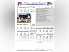 (25) Fresh 1st Lact Holstein Heifers | Fresh 5-12 to 7-2 | 3X Group Avg 43 DIM 85#m SCC-36K, 587 gNM$, 2646 gTPI, 4 & 5⭐Udders,  | AI Sired-Sires Avg 639 NM$ | Dams ACTUAL Avg 32988m 1466f 1120p 22531cfp | ⭐GOLD STAR Genetic Focus Herd, Tank Avg 94# on 2400 Cows | Extensive ET Program, From some of the greatest cow families in the breed with literally Hundreds of bulls in AI! | Rotary Parlor, Sand Freestalls, Headlocks, Complete Herd Health & Vaccinations, Registered | Oakfield Corners Dairy Oakfield, NY | Load by 8-1-25 (Rep Paul Warner 517-231-8427) | WILL TEST TO TRAVEL 7070 7130 21575 21799 21825 22052 22105 22281 22290 22312 22313 22336 22374 22407 22478 58507 58564 71175 71300 96542 96574 96596 96647 96689 96721