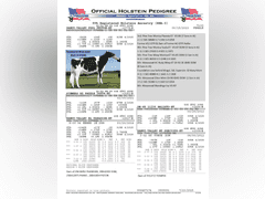(25) Fresh 1st Lact Holstein Heifers | Fresh 5-12 to 7-2 | 3X Group Avg 43 DIM 85#m SCC-36K, 587 gNM$, 2646 gTPI, 4 & 5⭐Udders,  | AI Sired-Sires Avg 639 NM$ | Dams ACTUAL Avg 32988m 1466f 1120p 22531cfp | ⭐GOLD STAR Genetic Focus Herd, Tank Avg 94# on 2400 Cows | Extensive ET Program, From some of the greatest cow families in the breed with literally Hundreds of bulls in AI! | Rotary Parlor, Sand Freestalls, Headlocks, Complete Herd Health & Vaccinations, Registered | Oakfield Corners Dairy Oakfield, NY | Load by 8-1-25 (Rep Paul Warner 517-231-8427) | WILL TEST TO TRAVEL 7070 7130 21575 21799 21825 22052 22105 22281 22290 22312 22313 22336 22374 22407 22478 58507 58564 71175 71300 96542 96574 96596 96647 96689 96721