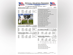 (25) Fresh 1st Lact Holstein Heifers | Fresh 5-12 to 7-2 | 3X Group Avg 43 DIM 85#m SCC-36K, 587 gNM$, 2646 gTPI, 4 & 5⭐Udders,  | AI Sired-Sires Avg 639 NM$ | Dams ACTUAL Avg 32988m 1466f 1120p 22531cfp | ⭐GOLD STAR Genetic Focus Herd, Tank Avg 94# on 2400 Cows | Extensive ET Program, From some of the greatest cow families in the breed with literally Hundreds of bulls in AI! | Rotary Parlor, Sand Freestalls, Headlocks, Complete Herd Health & Vaccinations, Registered | Oakfield Corners Dairy Oakfield, NY | Load by 8-1-25 (Rep Paul Warner 517-231-8427) | WILL TEST TO TRAVEL 7070 7130 21575 21799 21825 22052 22105 22281 22290 22312 22313 22336 22374 22407 22478 58507 58564 71175 71300 96542 96574 96596 96647 96689 96721