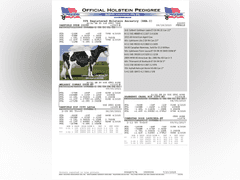 (25) Fresh 1st Lact Holstein Heifers | Fresh 5-12 to 7-2 | 3X Group Avg 43 DIM 85#m SCC-36K, 587 gNM$, 2646 gTPI, 4 & 5⭐Udders,  | AI Sired-Sires Avg 639 NM$ | Dams ACTUAL Avg 32988m 1466f 1120p 22531cfp | ⭐GOLD STAR Genetic Focus Herd, Tank Avg 94# on 2400 Cows | Extensive ET Program, From some of the greatest cow families in the breed with literally Hundreds of bulls in AI! | Rotary Parlor, Sand Freestalls, Headlocks, Complete Herd Health & Vaccinations, Registered | Oakfield Corners Dairy Oakfield, NY | Load by 8-1-25 (Rep Paul Warner 517-231-8427) | WILL TEST TO TRAVEL 7070 7130 21575 21799 21825 22052 22105 22281 22290 22312 22313 22336 22374 22407 22478 58507 58564 71175 71300 96542 96574 96596 96647 96689 96721