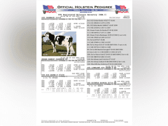 (25) Fresh 1st Lact Holstein Heifers | Fresh 5-12 to 7-2 | 3X Group Avg 43 DIM 85#m SCC-36K, 587 gNM$, 2646 gTPI, 4 & 5⭐Udders,  | AI Sired-Sires Avg 639 NM$ | Dams ACTUAL Avg 32988m 1466f 1120p 22531cfp | ⭐GOLD STAR Genetic Focus Herd, Tank Avg 94# on 2400 Cows | Extensive ET Program, From some of the greatest cow families in the breed with literally Hundreds of bulls in AI! | Rotary Parlor, Sand Freestalls, Headlocks, Complete Herd Health & Vaccinations, Registered | Oakfield Corners Dairy Oakfield, NY | Load by 8-1-25 (Rep Paul Warner 517-231-8427) | WILL TEST TO TRAVEL 7070 7130 21575 21799 21825 22052 22105 22281 22290 22312 22313 22336 22374 22407 22478 58507 58564 71175 71300 96542 96574 96596 96647 96689 96721