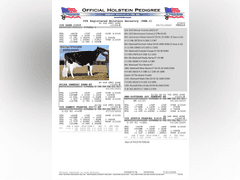 (25) Fresh 1st Lact Holstein Heifers | Fresh 5-12 to 7-2 | 3X Group Avg 43 DIM 85#m SCC-36K, 587 gNM$, 2646 gTPI, 4 & 5⭐Udders,  | AI Sired-Sires Avg 639 NM$ | Dams ACTUAL Avg 32988m 1466f 1120p 22531cfp | ⭐GOLD STAR Genetic Focus Herd, Tank Avg 94# on 2400 Cows | Extensive ET Program, From some of the greatest cow families in the breed with literally Hundreds of bulls in AI! | Rotary Parlor, Sand Freestalls, Headlocks, Complete Herd Health & Vaccinations, Registered | Oakfield Corners Dairy Oakfield, NY | Load by 8-1-25 (Rep Paul Warner 517-231-8427) | WILL TEST TO TRAVEL 7070 7130 21575 21799 21825 22052 22105 22281 22290 22312 22313 22336 22374 22407 22478 58507 58564 71175 71300 96542 96574 96596 96647 96689 96721