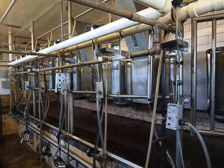 Double Herringbone 6 ChoreBoy Parlor Package | Only used from 2003-2007 | Includes Stalls, Feeders, Units, Take-Offs, Pulsation, Recivor Group, All Stainless Pipe, Vacumn Pump, Wash System, Plate Cooler, & Control Boxes | Removed & Ready To Load  | TS Farms Greenville, OH | Remove by 3-1-26 (Rep Brian Landis 574-536-5026)