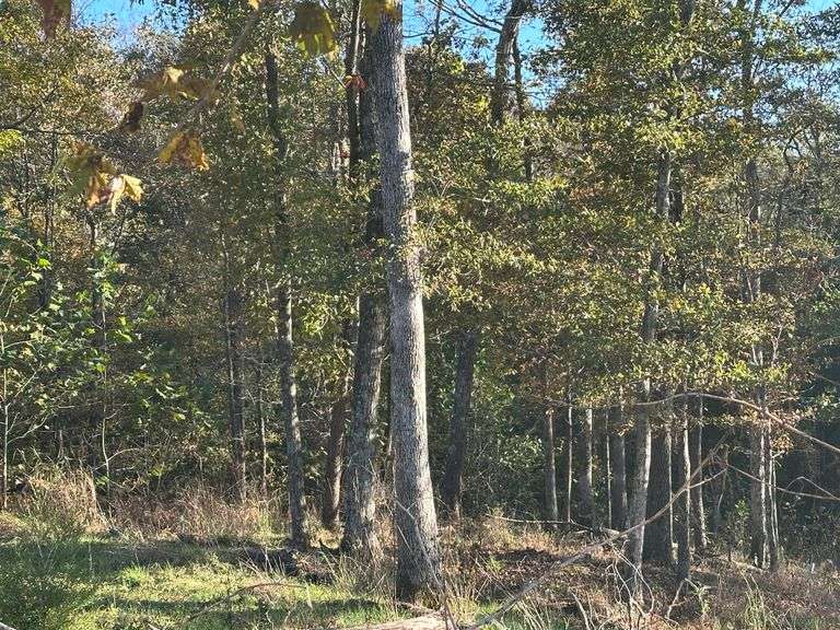 Tract B - 5.22+/- Acres - South Bypass, Campbellsville, KY