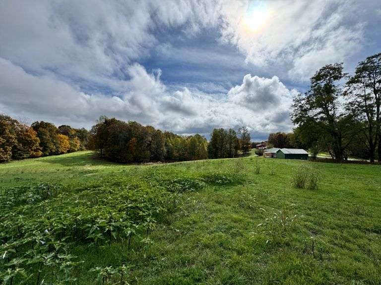 Gertrude Sprowles and the Late Winfred Sprowles - House & 60+/- Acres, Personal Property