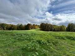Gertrude Sprowles and the Late Winfred Sprowles - House & 60+/- Acres, Personal Property
