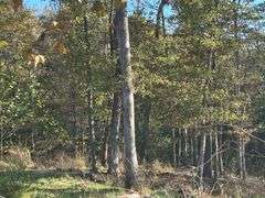 Tract B - 5.22+/- Acres - South Bypass, Campbellsville, KY