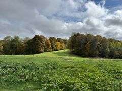 Gertrude Sprowles and the Late Winfred Sprowles - House & 60+/- Acres, Personal Property