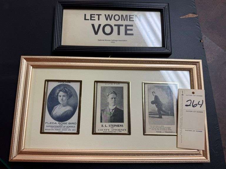 2 political advertisements