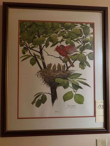 Ray Harm print