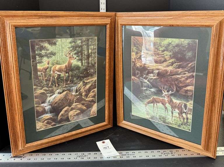 Wildlife print