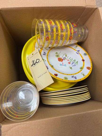 Plastic plates and cups