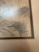 Raccoon print