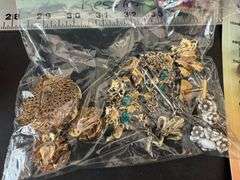 Costume jewelry