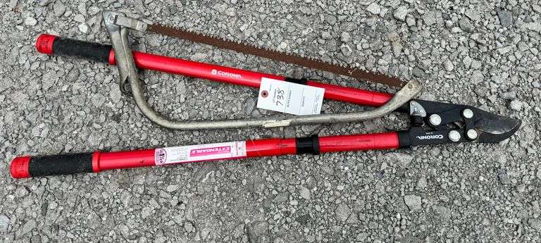 Pruner and saw