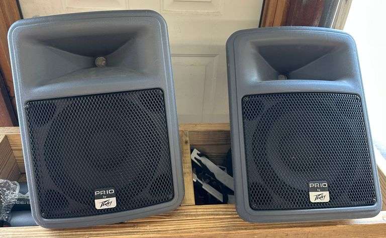 2 Peavey Speakers