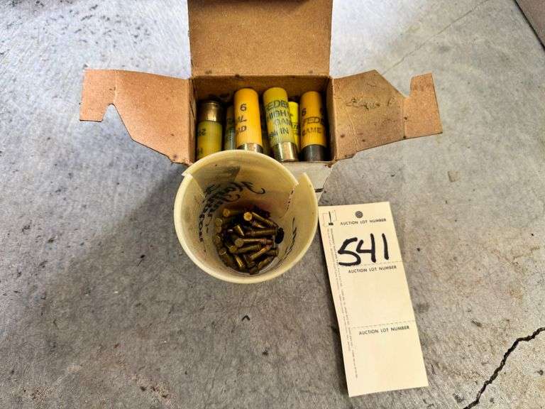 20 gage shells and some loose 22s