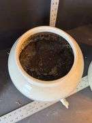 Water jug