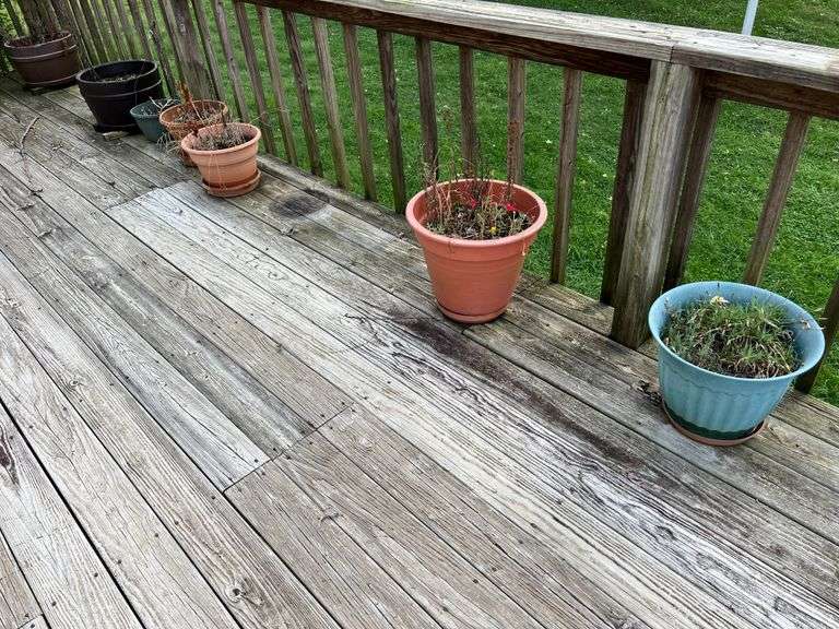 Assortment of Flower Pots