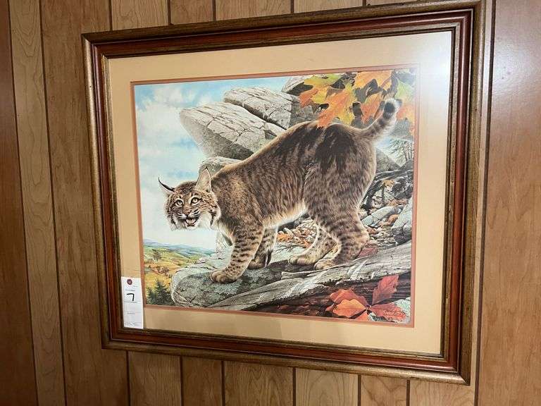 Bobcat Print