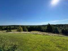 House & 56.764+/- Acres - Tractors, Trucks, & More - Julie Williams Estate & The Late Douglas Williams - Part 3